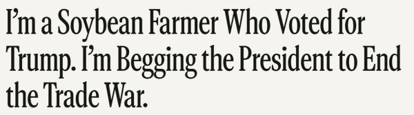美国MLS NEXT职业联赛_中企抢购40船巴西大豆美国MLS NEXT职业联赛，美国豆农“悬着的心终于凉了”