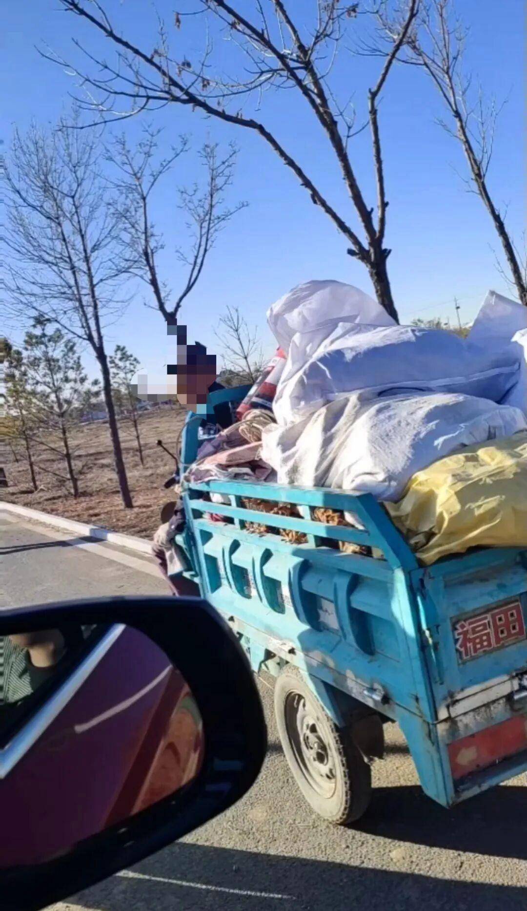 皇冠信用网
_百亩向日葵遭村民哄抢皇冠信用网
，损失50万元！警方已行拘4人