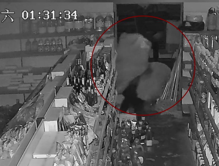 皇冠信用网怎么申请_青岛某超市凌晨突然出现神秘黑影皇冠信用网怎么申请，披着烂麻袋低着头，当他终于转过脸来，警察都气笑了