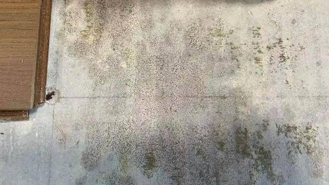 皇冠信用网网址_河南郑州保利一小区超两百户精装房成“霉菌房” 皇冠信用网网址，家里一股霉味