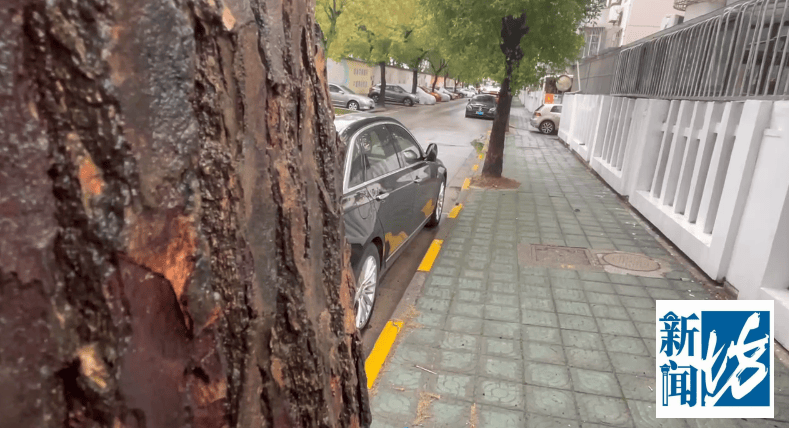 正版皇冠信用网_女子怀疑丈夫出轨闺蜜正版皇冠信用网,花9000元雇人追踪被抓包!法院:“私家侦探”判刑4个月罚款3000元