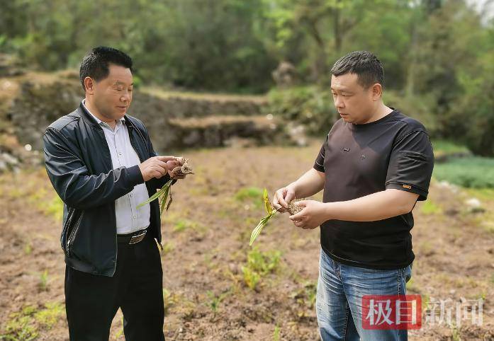 信用盘怎么注册_放弃几十万年收入返乡信用盘怎么注册,“倒贴钱”买车作公用,53岁“吉普书记”突然离世,200余民众自发送别